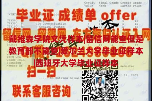 戴维森学院文凭样本|留信网能查但是教育部不能查|爱尔兰大学毕业证样本|西班牙大学毕业证样本