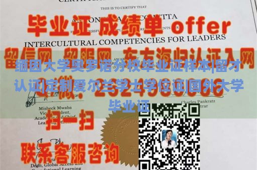 缅因大学奥罗诺分校毕业证书样本|留才认证|定制爱尔兰学士学位证书|国外大学毕业证书