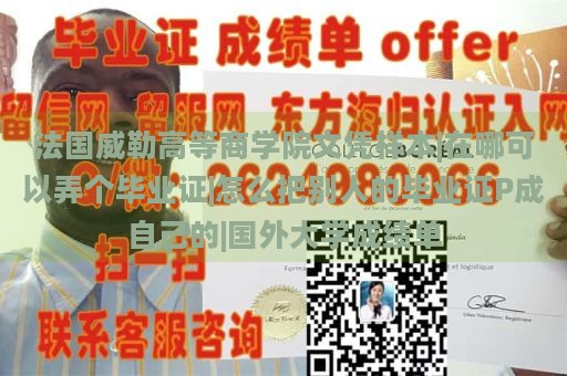 法国威勒高等商学院文凭样本|在哪可以弄个毕业证|怎么把别人的毕业证P成自己的|国外大学成绩单