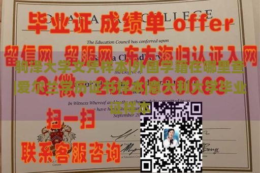 驹泽大学文凭样本|外国学籍在哪里查|爱尔兰学历证书样本|意大利大学毕业证样本